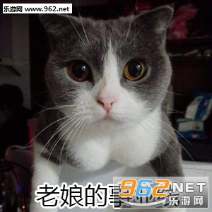 ˵ɶ�ر����������ͼ1