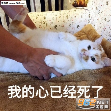 ˵ɶ�ر����������ͼ0