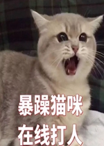 ���ǲ����ڵ�over�����