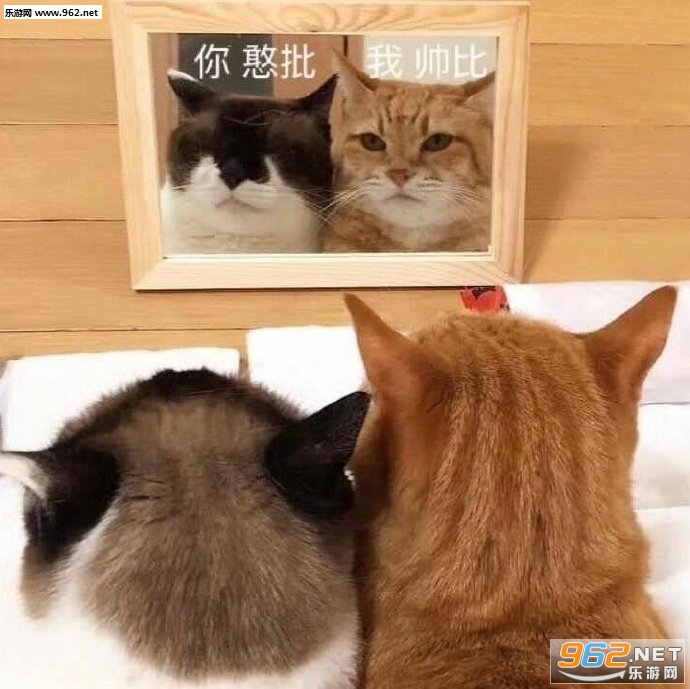 ��Խɧ��Խϲ���������ͼ4