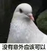 �㿴��������������˱������ͼ5