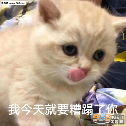 ����ɧ��˧��������ͼ2