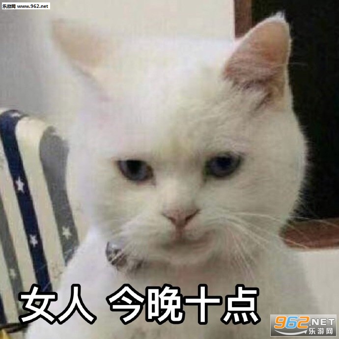 ����ɧ��˧��������ͼ4