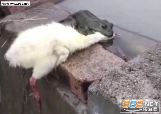 ����û�����˼�������ͼ4