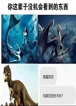 ����?�����