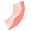 Bacon(ʳ����������Ϸ)