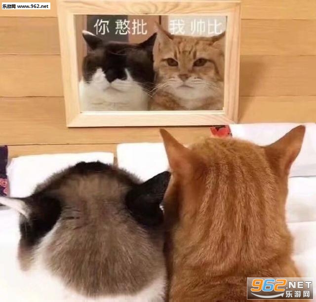 ���ɰ�������ϼ���ͼ1