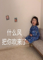 ��զ���������