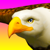 Eagle Ride��Ϸ