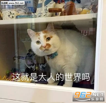 ��������˱����
