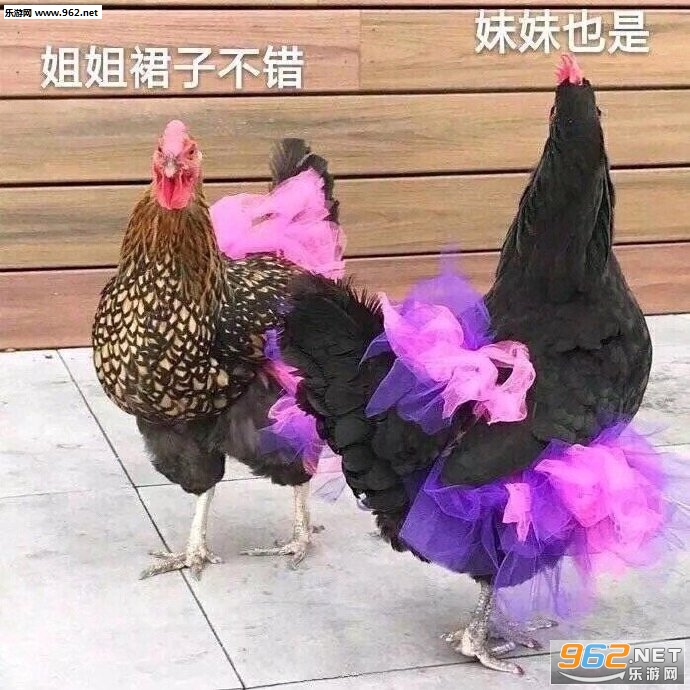 ���ȹ�Ӳ��������