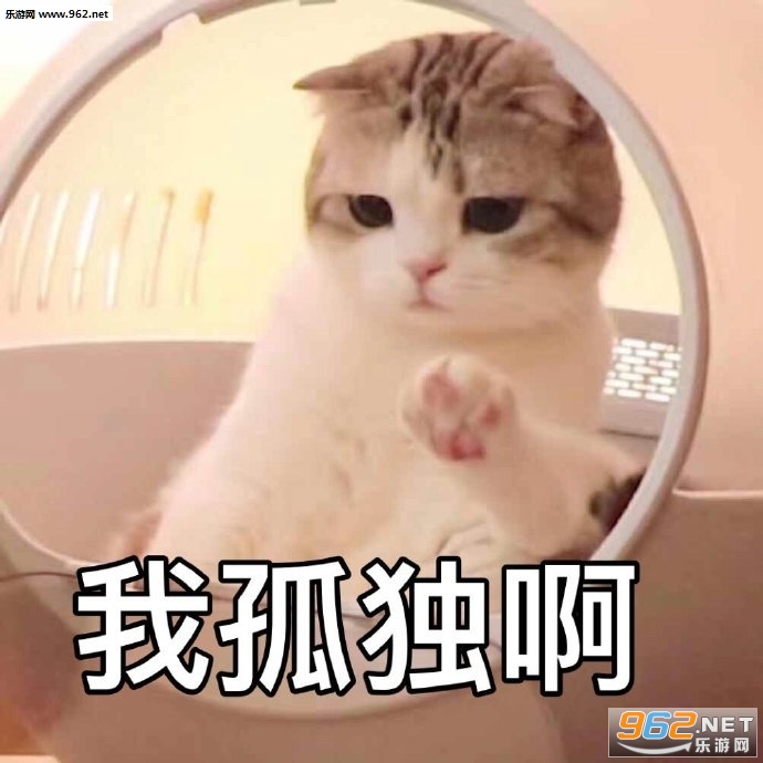 û������Ӧ�ÿ��Ը��ӱ����