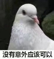û������Ӧ�ÿ��Ը��ӱ����