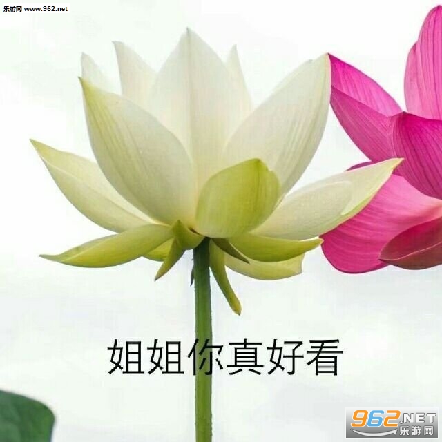 ����һ�����ǵ���ͼƬͷ������