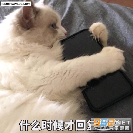 什么时候才回复我啊表情包 什么时候才回复我啊表情包