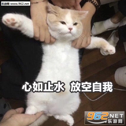 ���㲻����ͼƬ�����