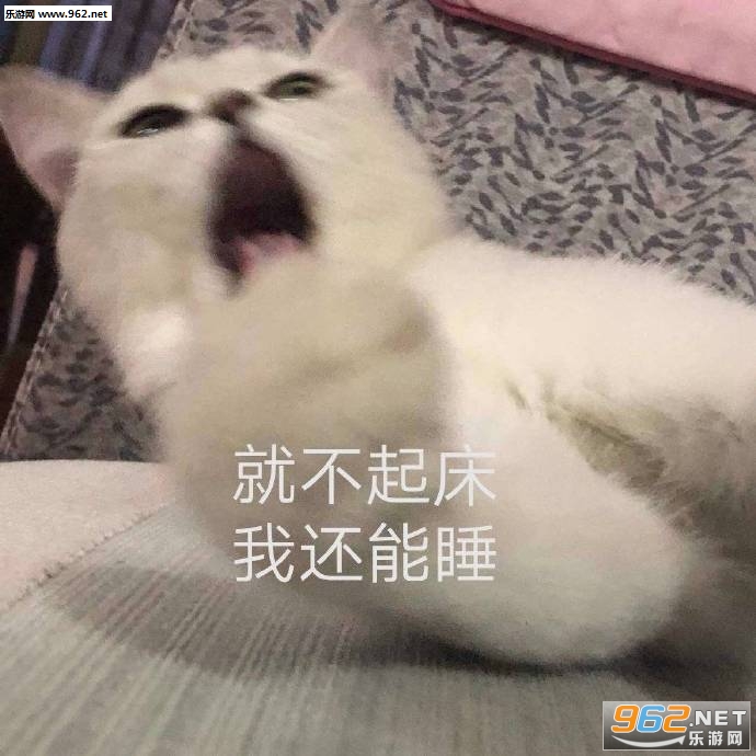 ��һ����ͼƬ�����