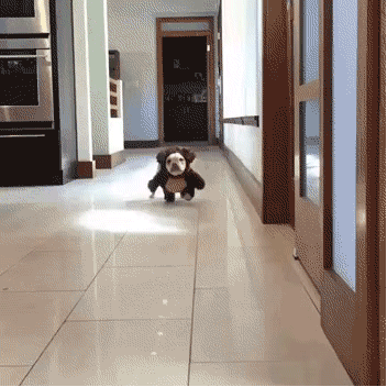 ������ô�ɰ���������˳���û��İ취ͼƬ