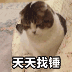 ������ô�ɰ���������˳���û��İ취ͼƬ
