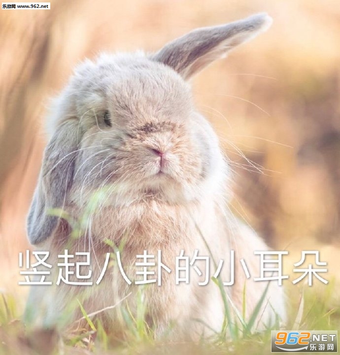 ���𹷶���jerry�����
