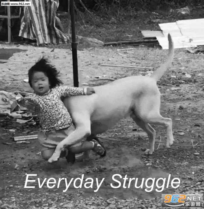 everyday struggle表情包 everyday struggle表情包