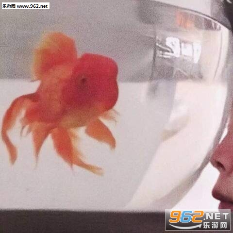 ��������ϵ����ͷ