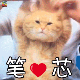 è����ı����gif