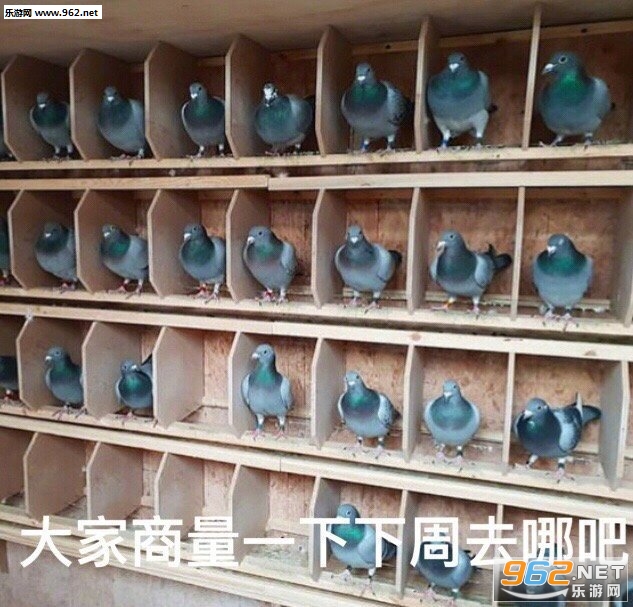 ��Ů��լ�����