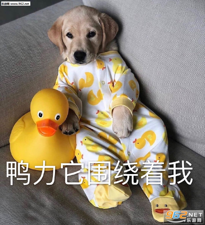 �����С������ôһֱ���˺������