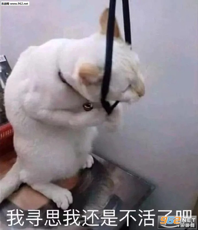 ���˵������ҵ�����ͼƬ�����