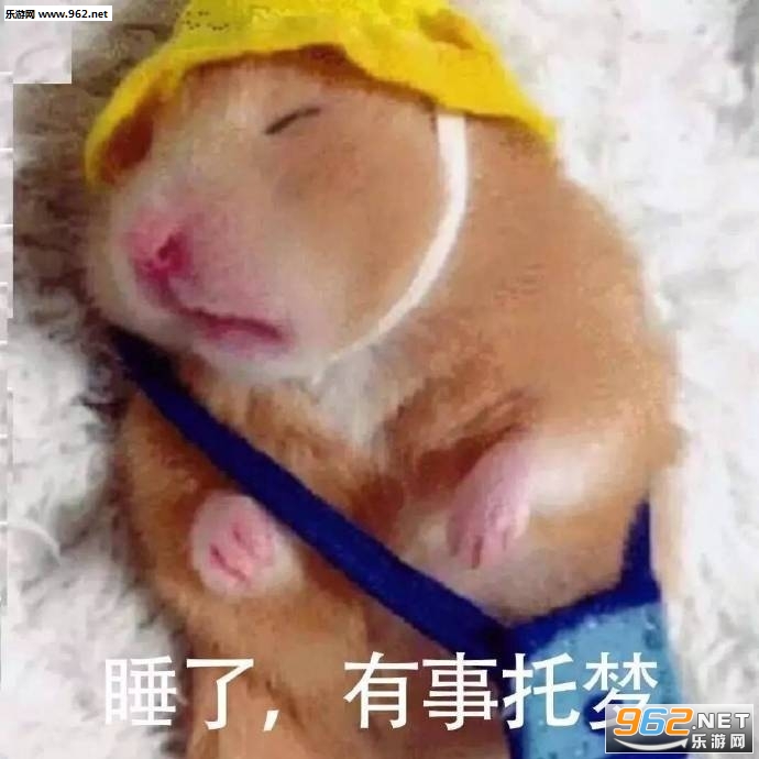 �������ѵ�Ů����ͼƬ�����