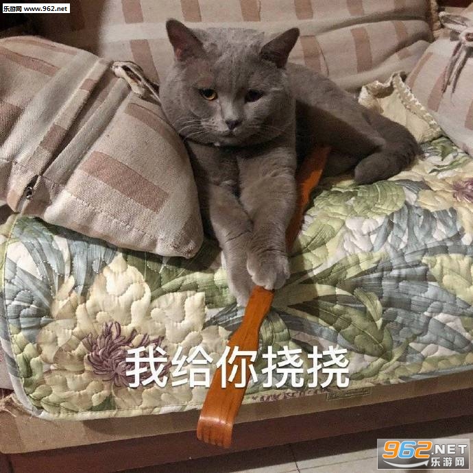 ���ʽ������΢�������ӱ����