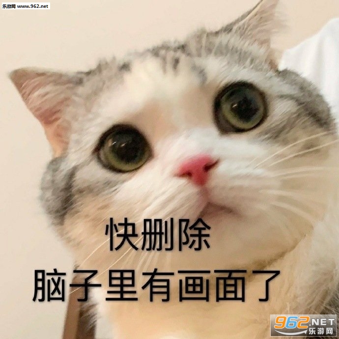 ����Ҫ�ľ���ЩҲû����ͼƬ�����