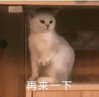 ������������è�䶯ͼ