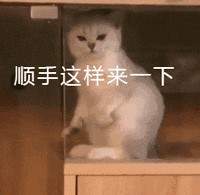 ������������è�䶯ͼ