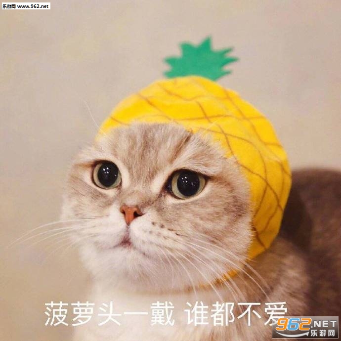 �Һ�������