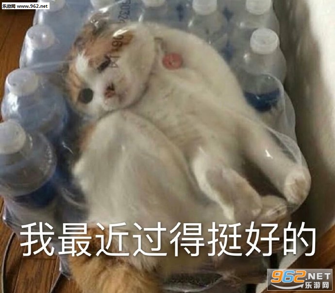 ����Ҳ��һ�������