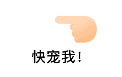 ��ָ��һ�±����