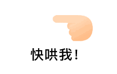 ��ָ��һ�±����