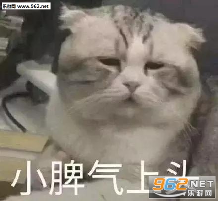 ���ܲ��ܴ���һ������