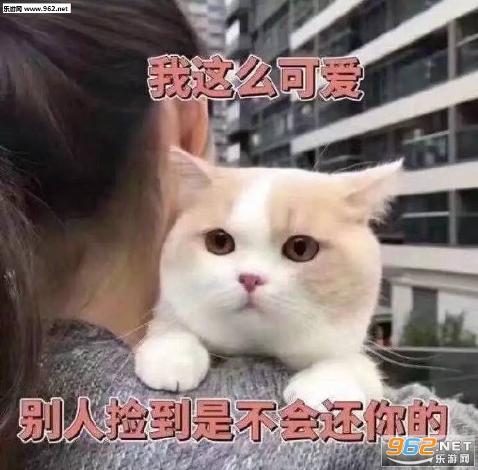 ��ү���������������