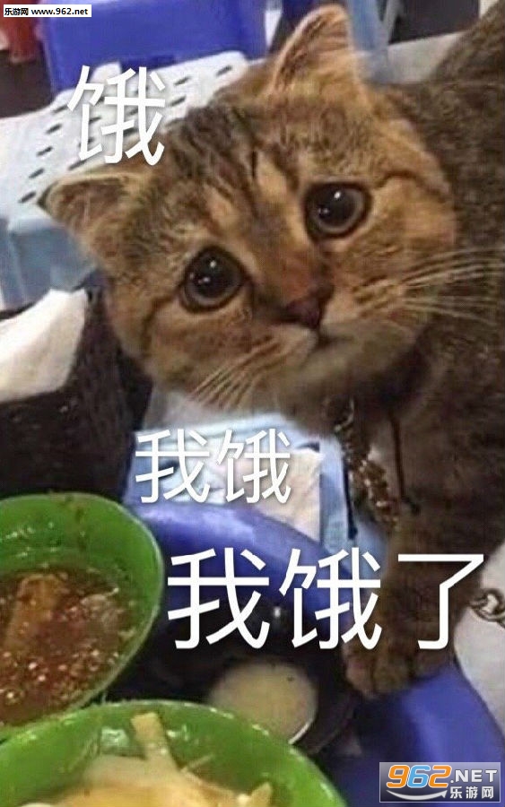 ��ã�Ŀۿ�ͷ�����