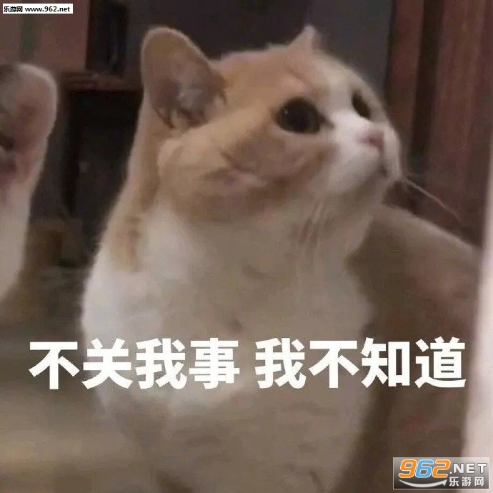 ����ͼ�߽�����Ķ�̬�����