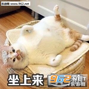 ����ͼ�߽�����Ķ�̬�����