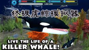 �ռ�����ģ�������İ�