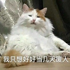 �ְ����������Ϸ�˱����
