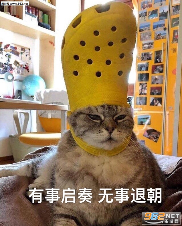 ���»ں޵���ˮ�����