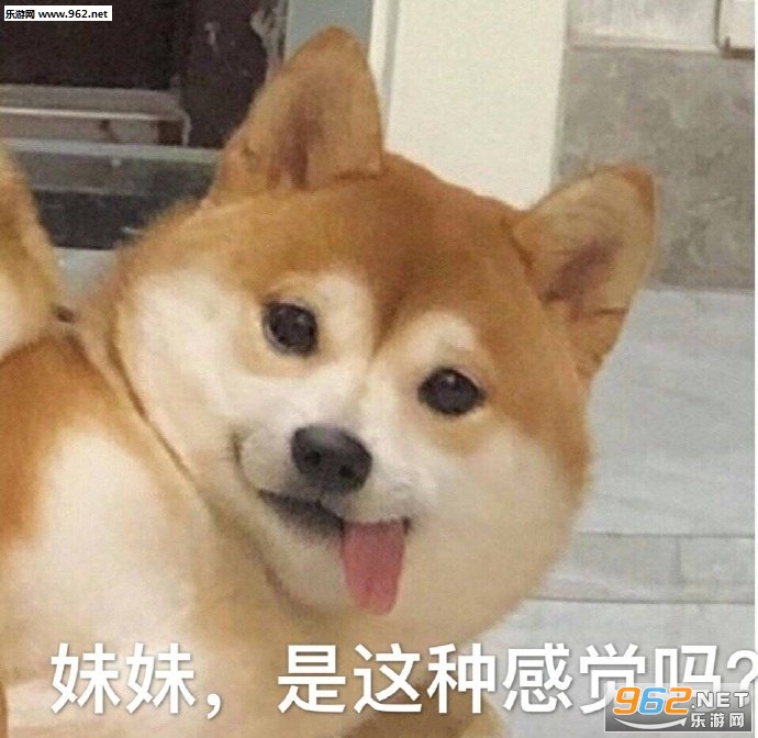 ����ϴ������