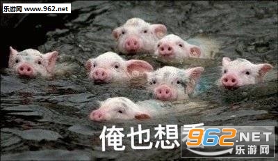 �����˴��۽�����