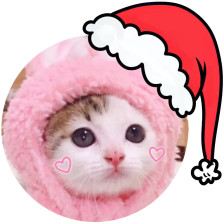 ΢��ͷ����ʥ��ñ��ôŪ�� 2019ȫ�µ�΢��ʥ��ñͷ����������